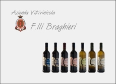 Azienda Vitivinicola Fratelli Braghieri